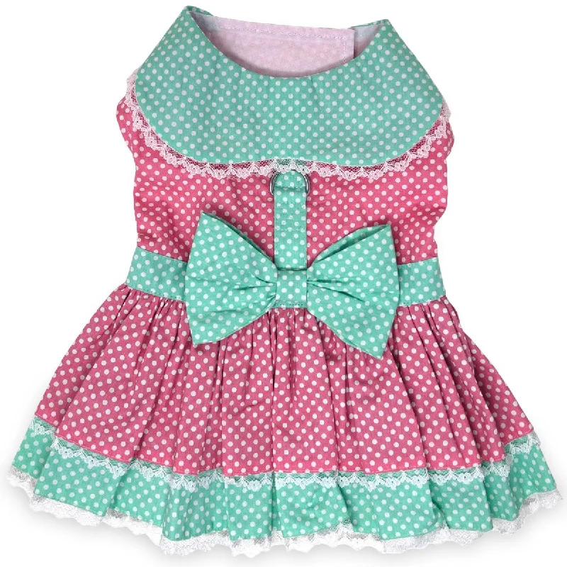 Polka Dot and Lace Dog Dress Set with Leash - Pink and Teal Lace Dress Set